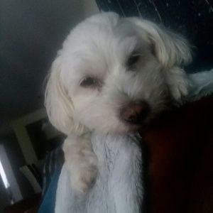 Meet your Posher, Jessicalynn1377